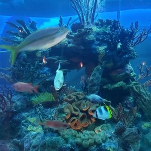 Meet your Posher, Magdalena